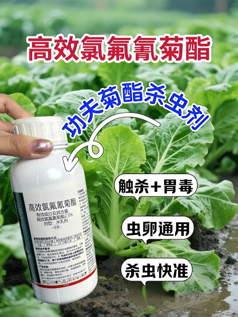 昭通代生中心:农药对供卵代生妈妈的危害